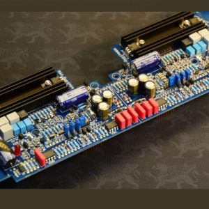 THE GRYPHON <br> Phono Module (for Diablo 120/300, Zena, Essence)
