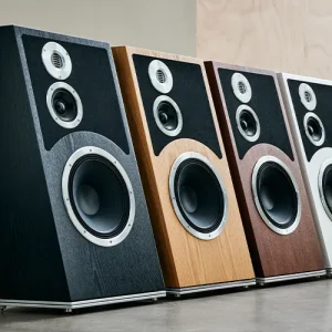AUDIOVECTOR <br> Trapeze Ri - 3-way Floorstanding Speaker