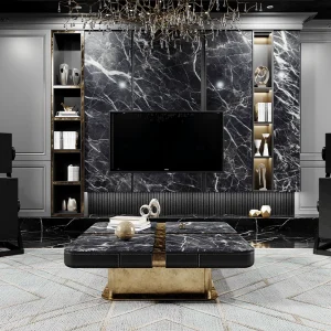 GOLDMUND <br> SATYA - Active Wireless Speaker