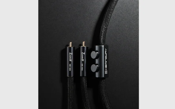 HEMINGWAY <br> Interconnect XLR/RCA - Image 3