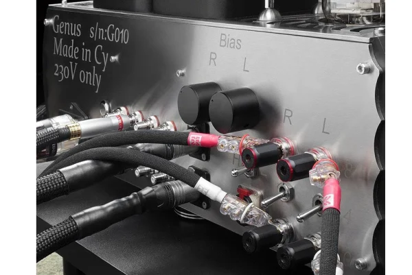 ARIES CERAT <br> Genus 845 Tube Integrated Amplifier - Image 2